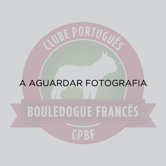 aguardar