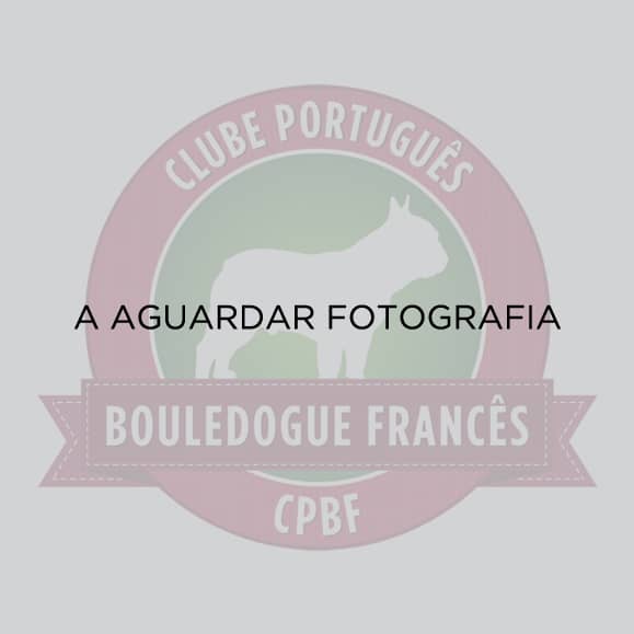 aguardar