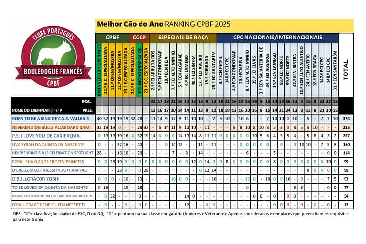 RANKING2025 MELHOR CÃO DO ANO FINAL